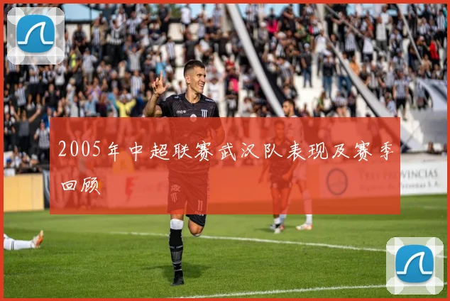 2005年中超联赛武汉队表现及赛季回顾