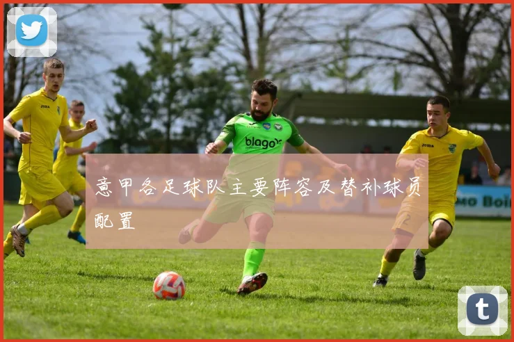 意甲各足球队主要阵容及替补球员配置